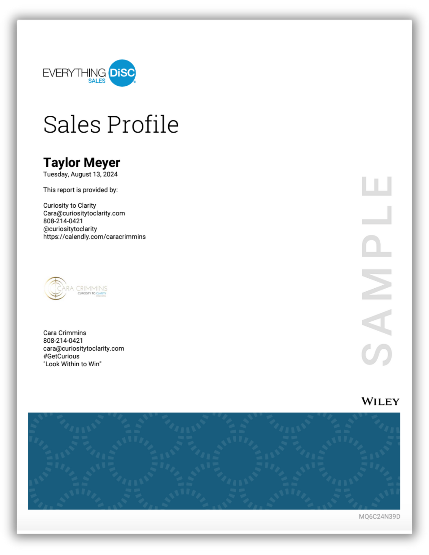 Everything DiSC® Sales Profile