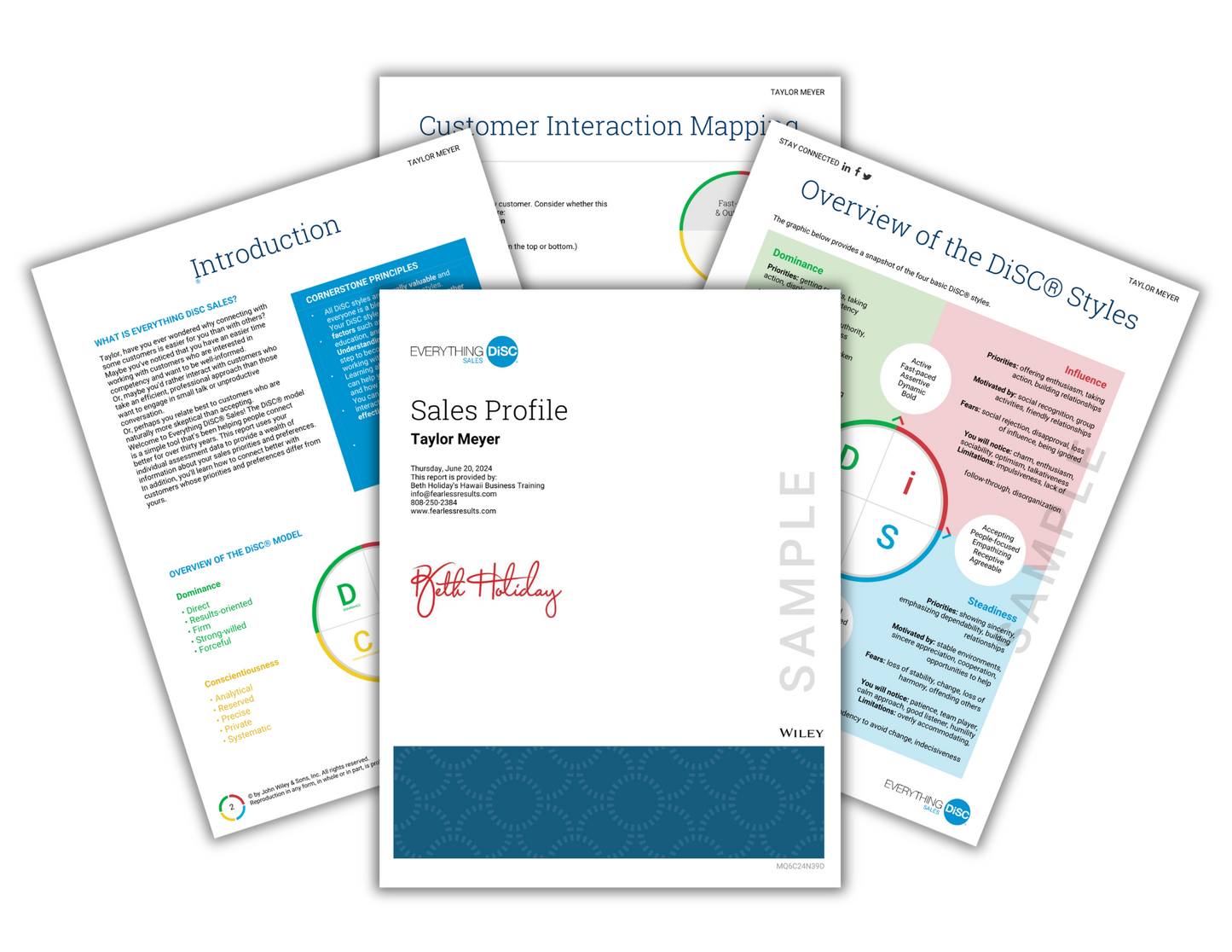 Everything DiSC® Sales Profile